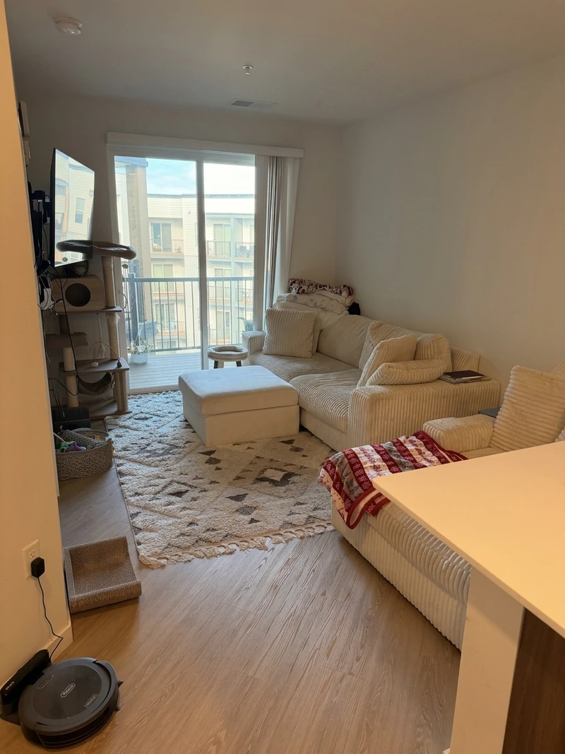 1 bedroom in Mayfair photo 5