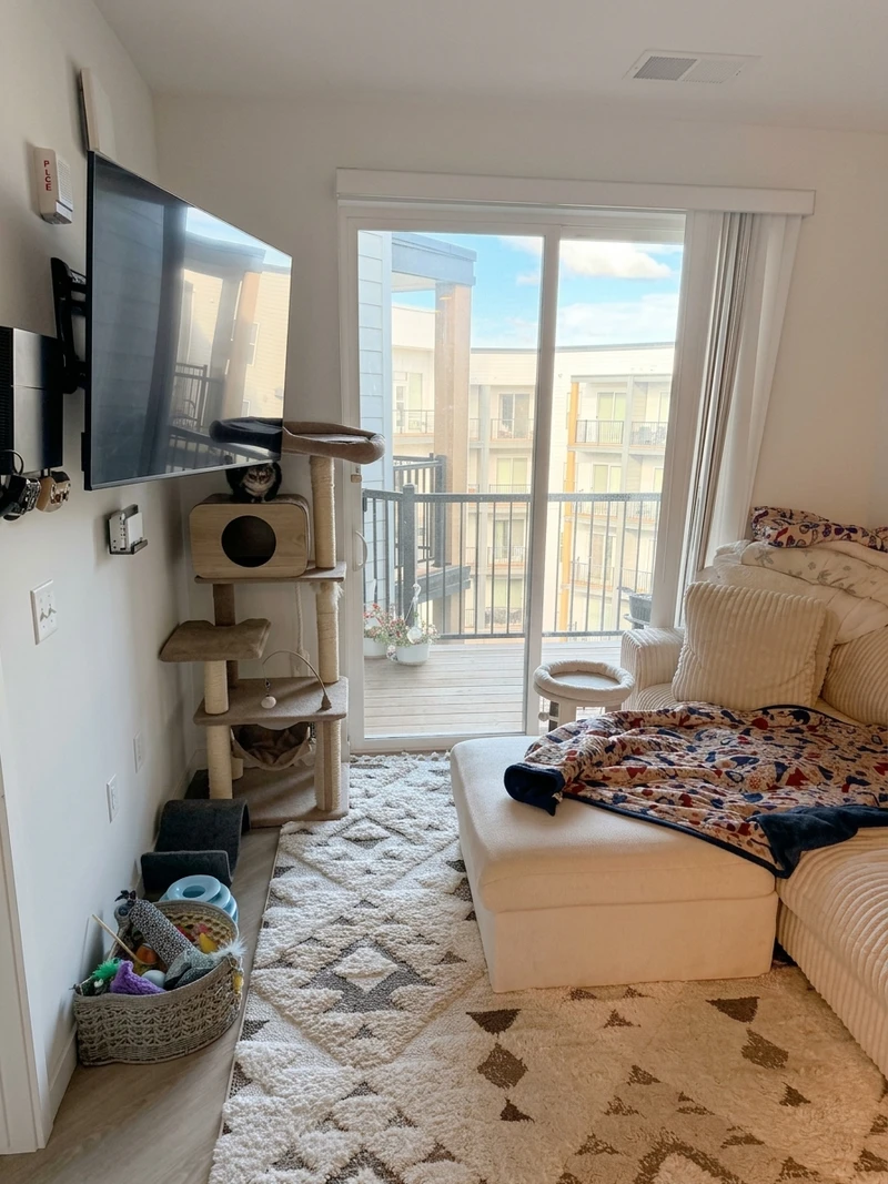 1 bedroom in Mayfair photo 5