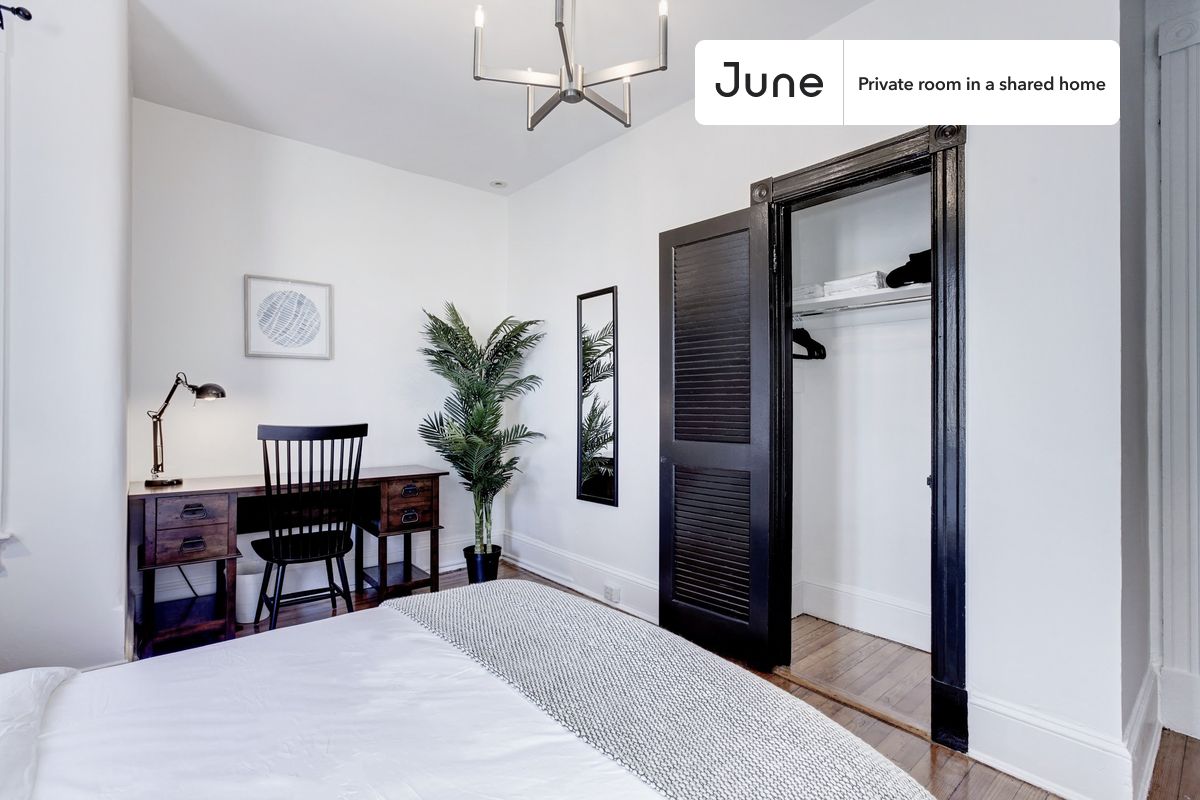 a room in Capitol Hill photo 2