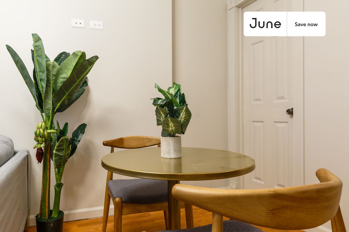 a room in Flatiron photo 3