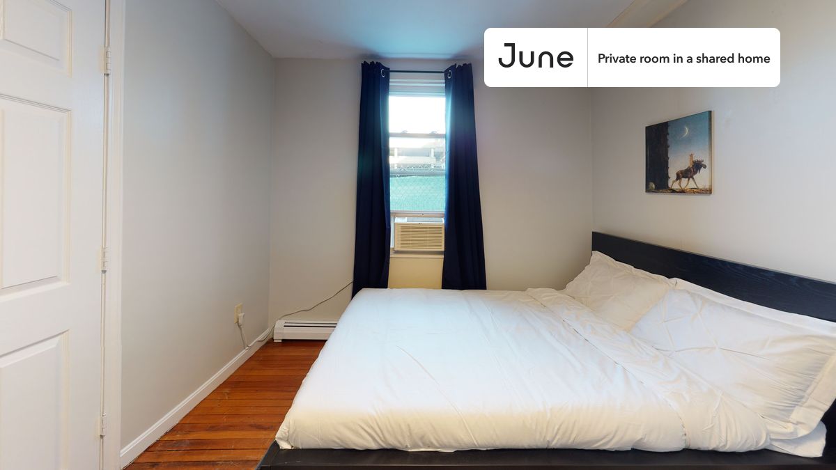 a room in Chestnut Hill photo 3