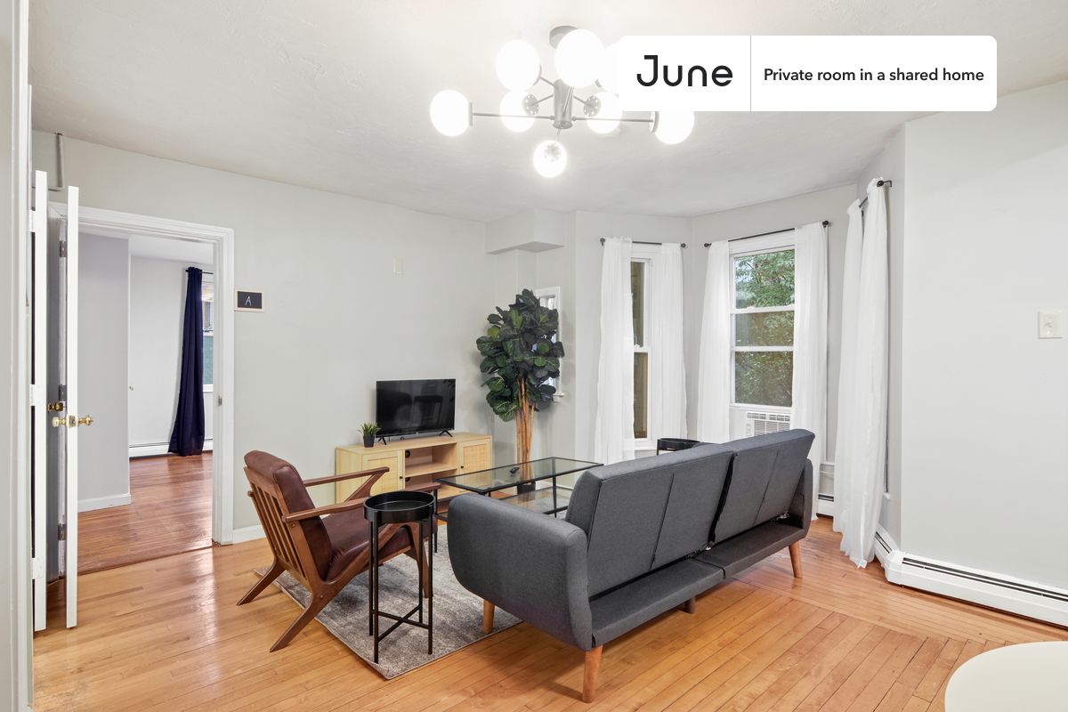 a room in Chestnut Hill photo 9