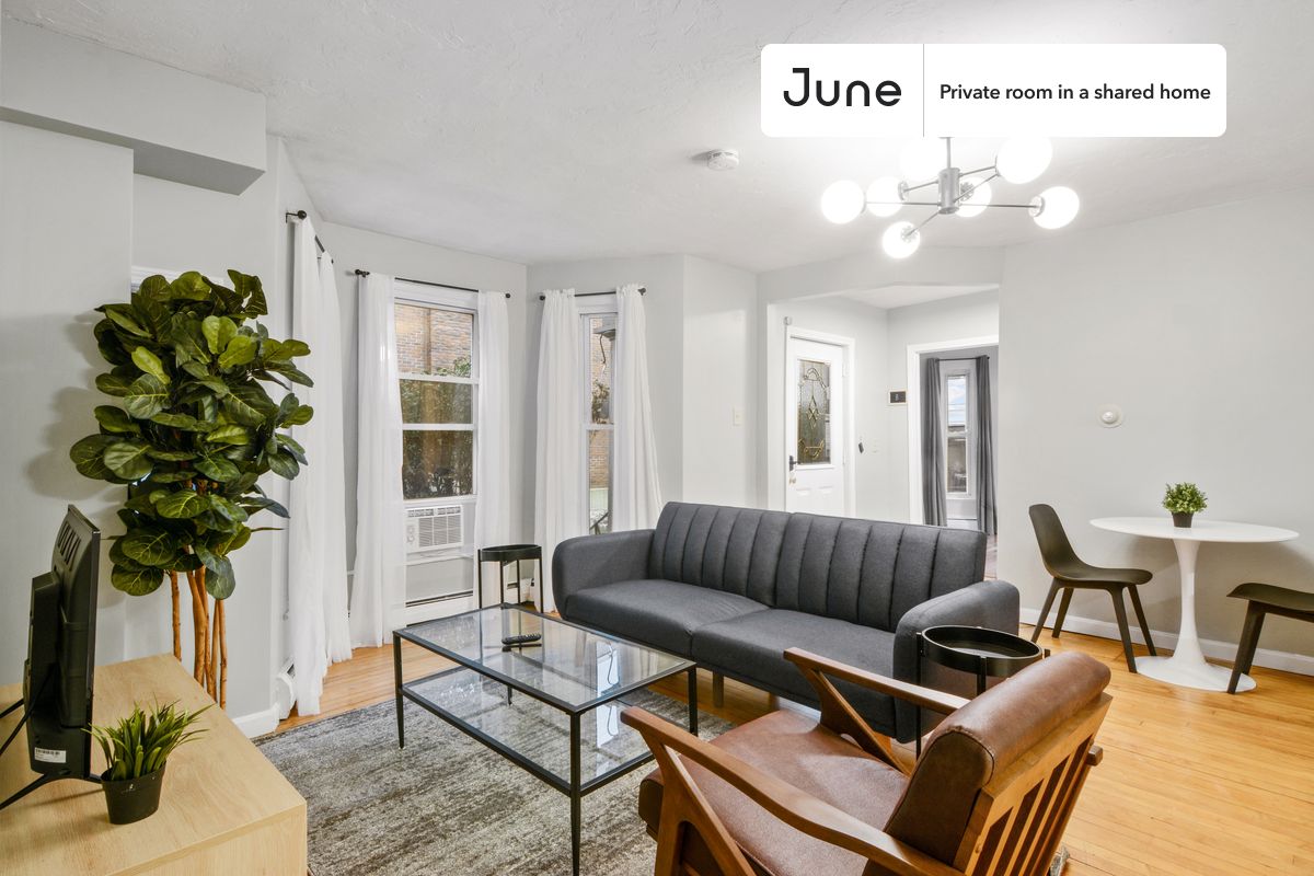 a room in Chestnut Hill photo 8