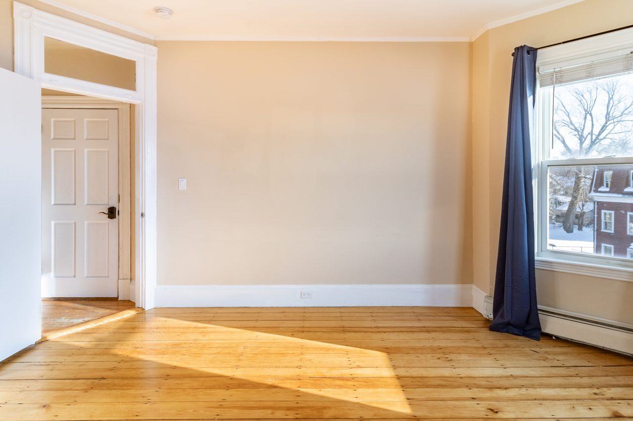 private room in Jamaica Plain photo 5