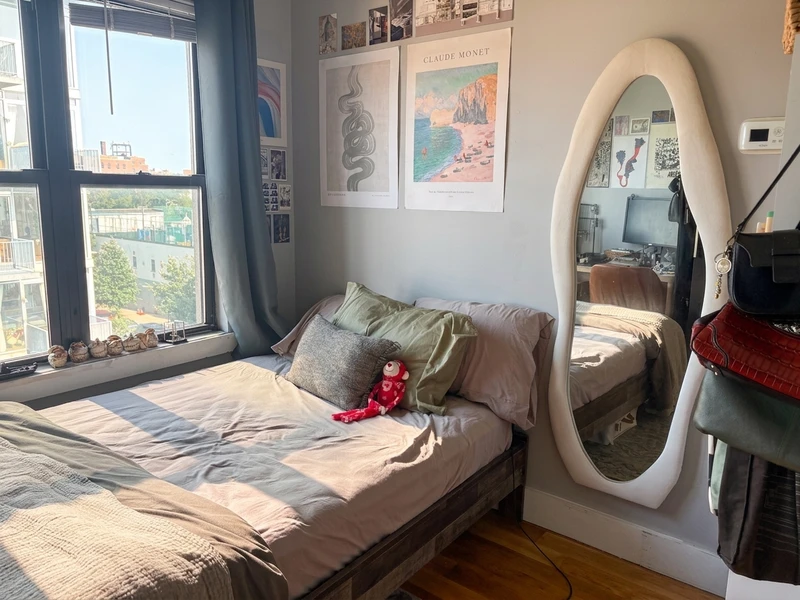 a room in Bedford-Stuyvesant photo 5