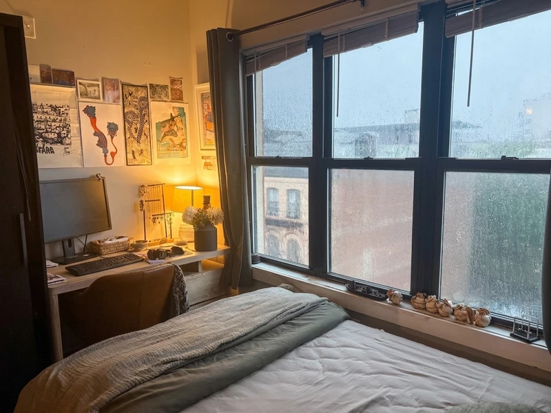 a room in Bedford-Stuyvesant photo 4