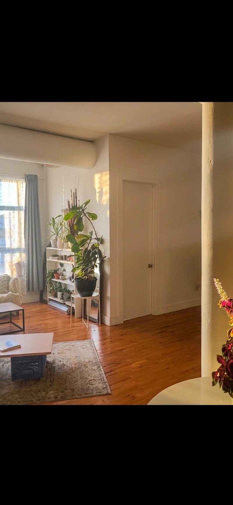 1 bedroom in Bushwick photo 4