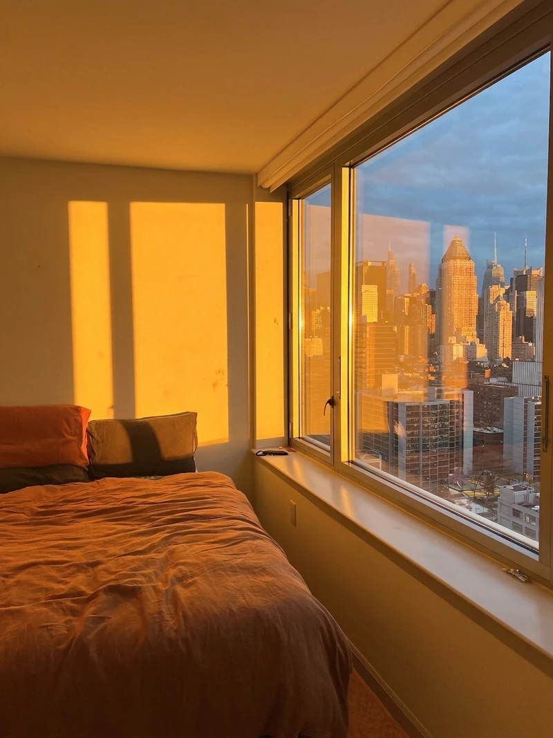 1 bedroom in Hell's Kitchen photo 2