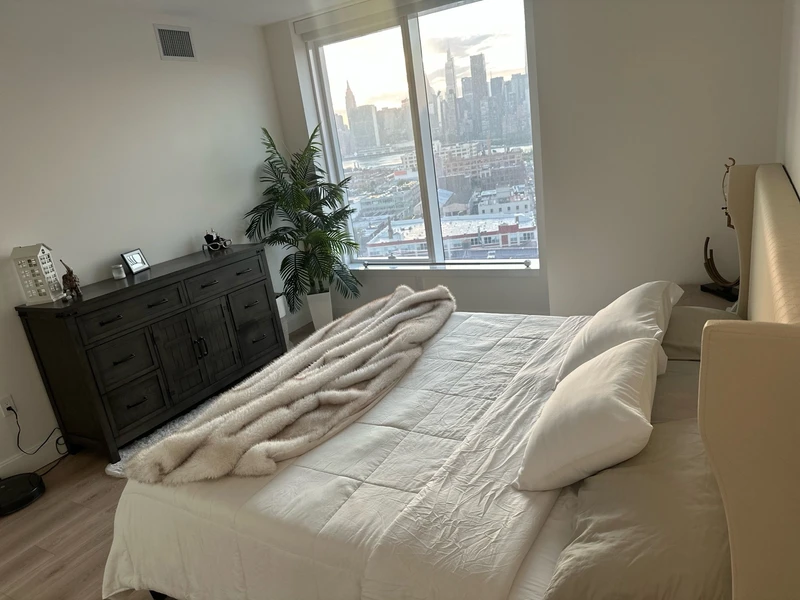 1 bedroom in LIC photo 7