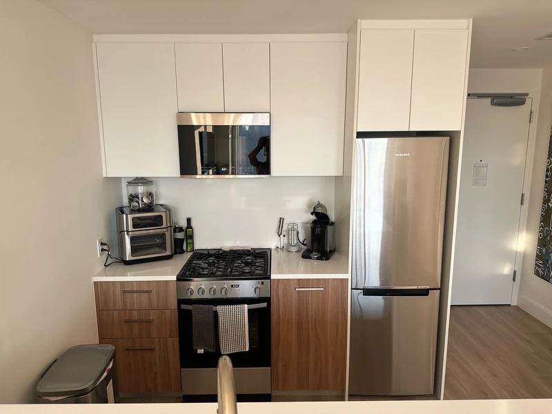 1 bedroom in LIC photo 5
