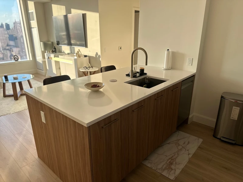 1 bedroom in LIC photo 4