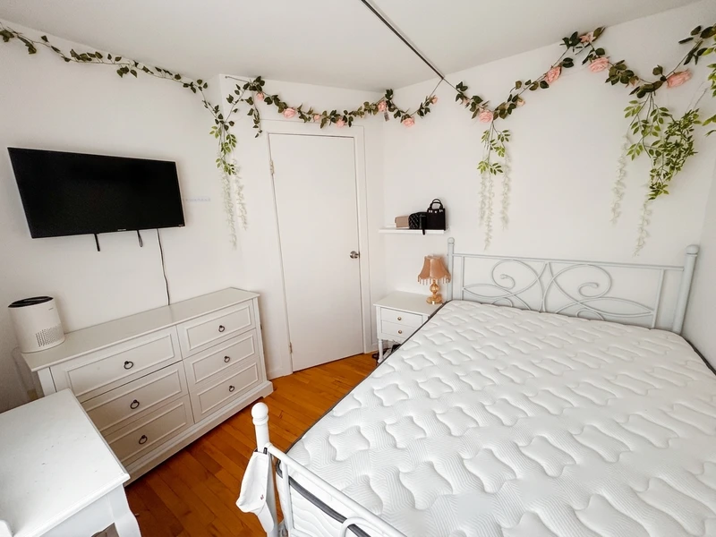 a room in Lower East Side photo 3