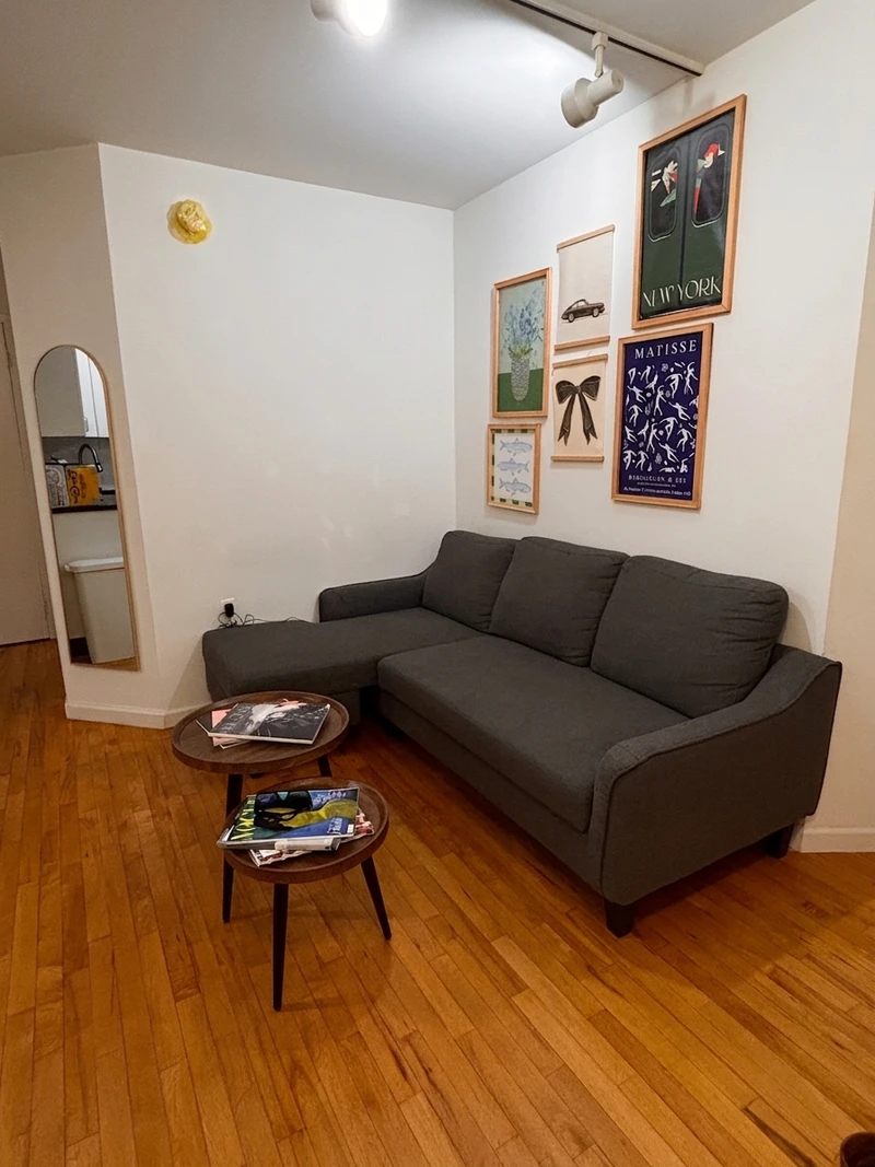 a room in Lower East Side photo 5