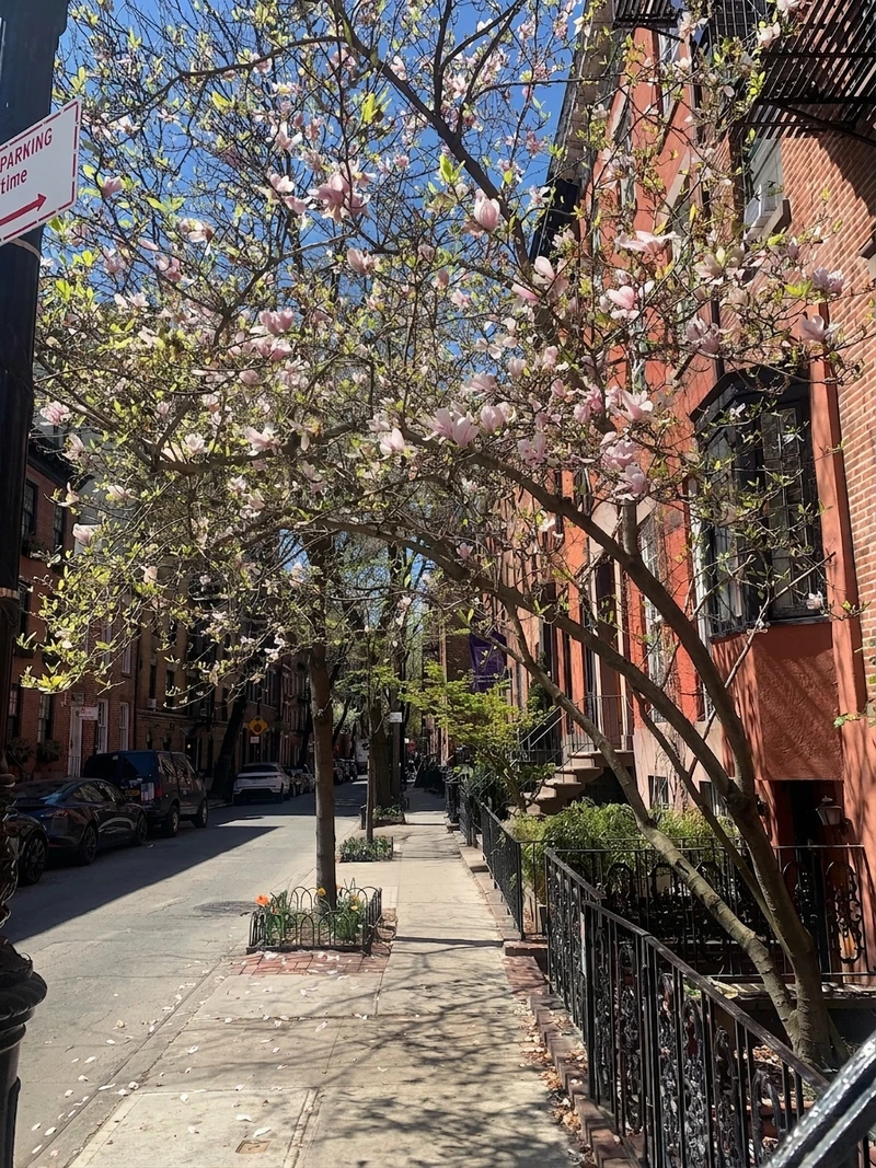 1 bedroom in West Village photo 5