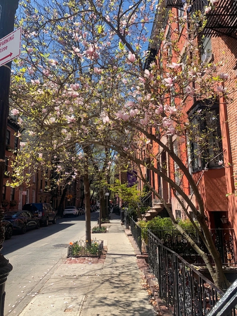 1 bedroom in West Village photo 5