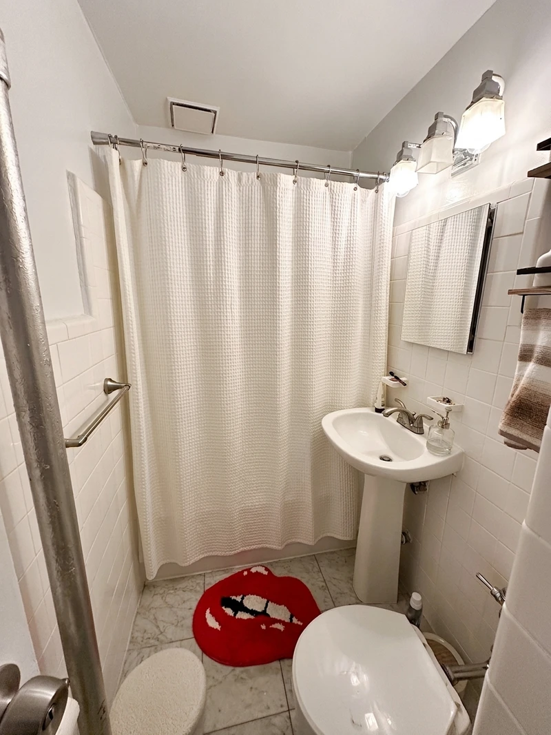 1 bedroom in Theater District photo 5