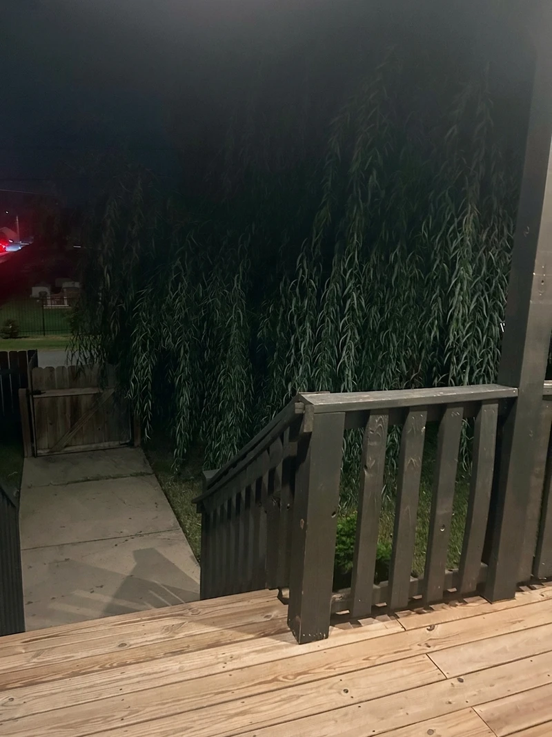 3+ bedroom in Jones/Buena Vista photo 12