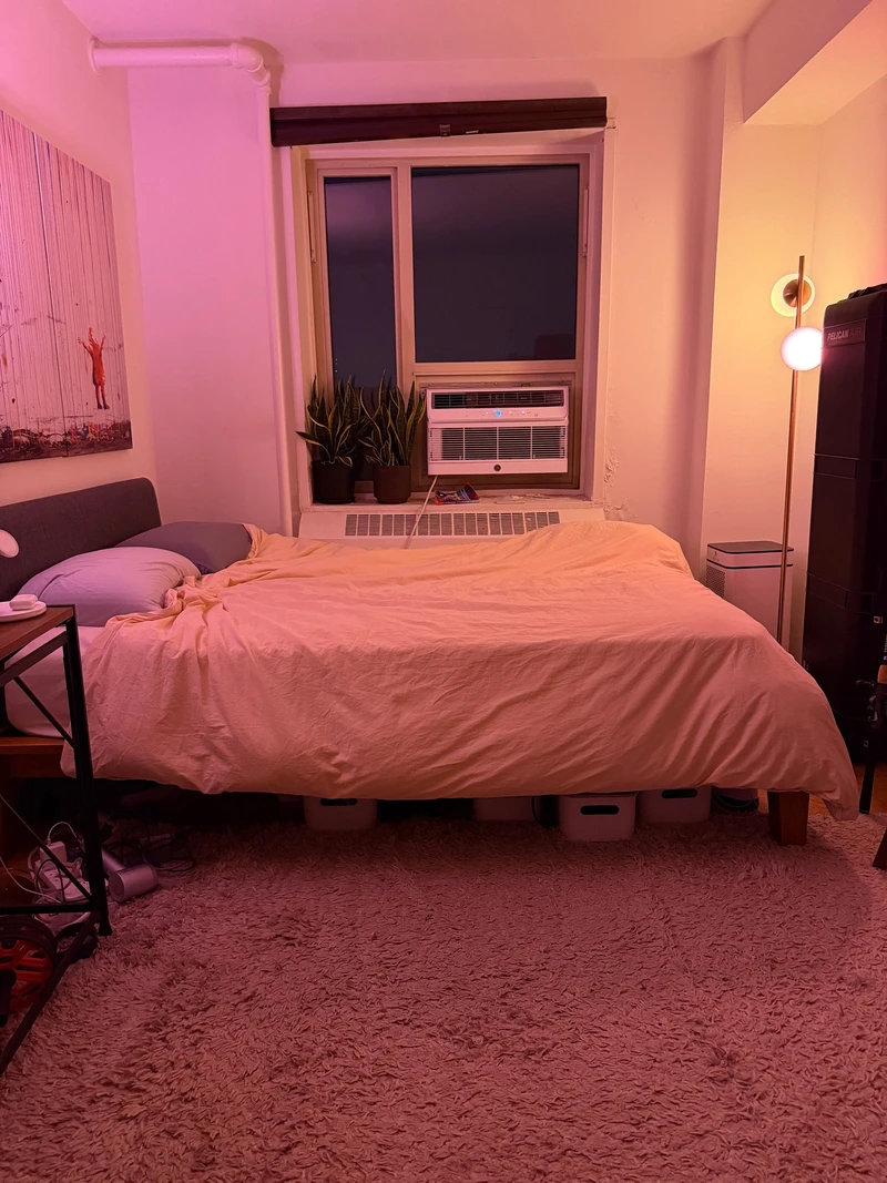 a room in East Village photo 3