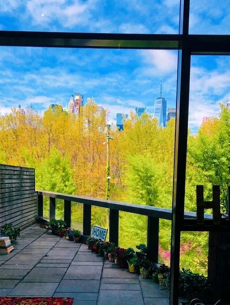 3+ bedroom in Brooklyn Heights photo 13